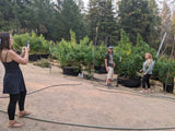 Weed, Wine & Wilderness Tour (Anderson Valley, CA)