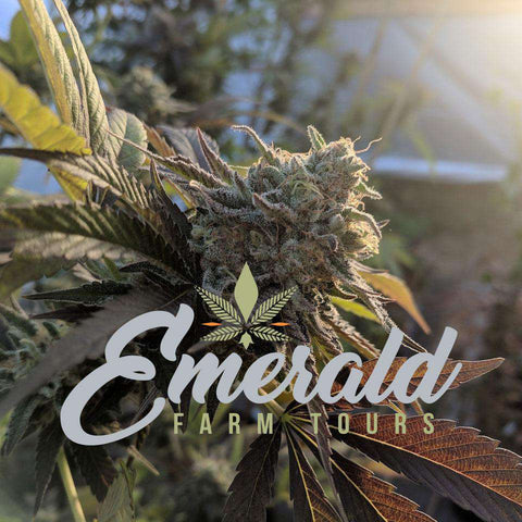 Emerald Farm Tours Gift Cards - Emerald Farm Tours