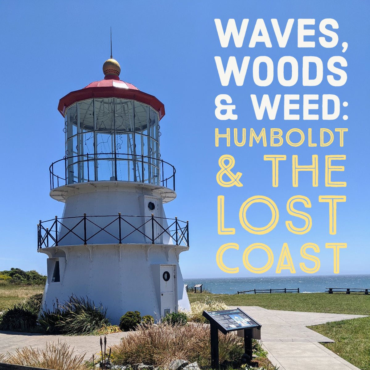 Waves, Woods Weed Overnight Tour of Humboldt County Emerald