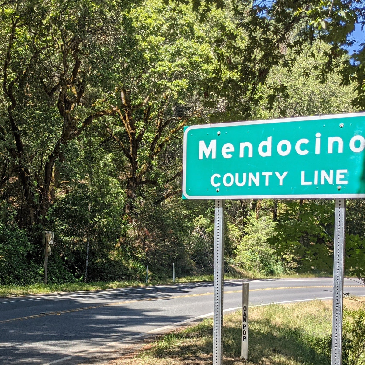 Wine, Wilderness & Weed Mendocino County Cannabis Farm Tour Emerald