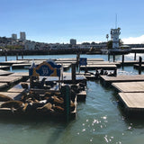 Fisherman's Wharf Cannabis & Coffee Tour